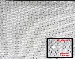 (image for) White 100% Cotton Eyelet Fabric - Sold by the Yard