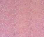 (image for) Premium Pink Guipure Lace Fabric