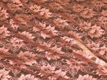 (image for) Cameo pink/brown lace fabric