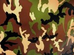 (image for) Camouflage Vinyl For Residential/Commercial/Hospitality Applic.