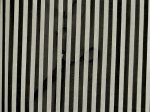 (image for) Black & White Striped Chiffon Fabric