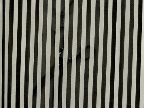 (image for) Black & White Striped Chiffon Fabric