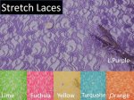 (image for) Stretch Lace Fabric